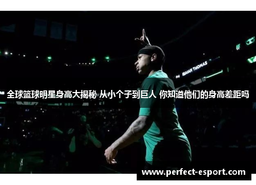 全球篮球明星身高大揭秘 从小个子到巨人 你知道他们的身高差距吗