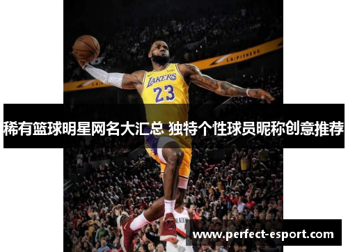 稀有篮球明星网名大汇总 独特个性球员昵称创意推荐