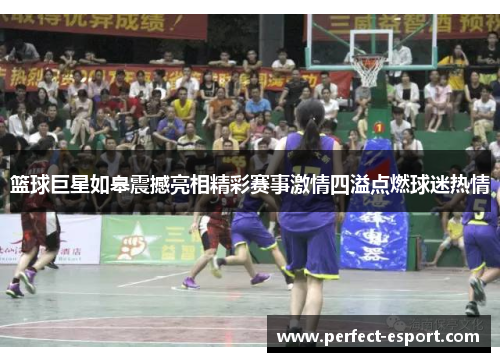 篮球巨星如皋震撼亮相精彩赛事激情四溢点燃球迷热情