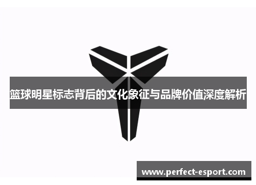 篮球明星标志背后的文化象征与品牌价值深度解析