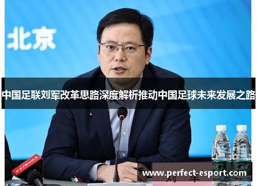 中国足联刘军改革思路深度解析推动中国足球未来发展之路