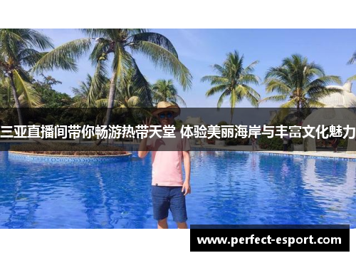 三亚直播间带你畅游热带天堂 体验美丽海岸与丰富文化魅力